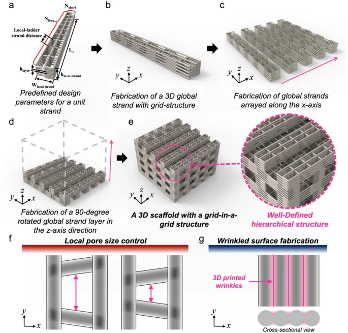 Precision 3D-Printed Cell Scaffolds Mimicking Native Tissue Composition and Mechanics
https://doi.org/10.1002/adhm.202000918