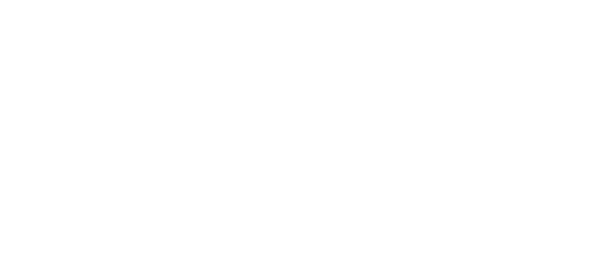 Space Innovation Exchange Logo