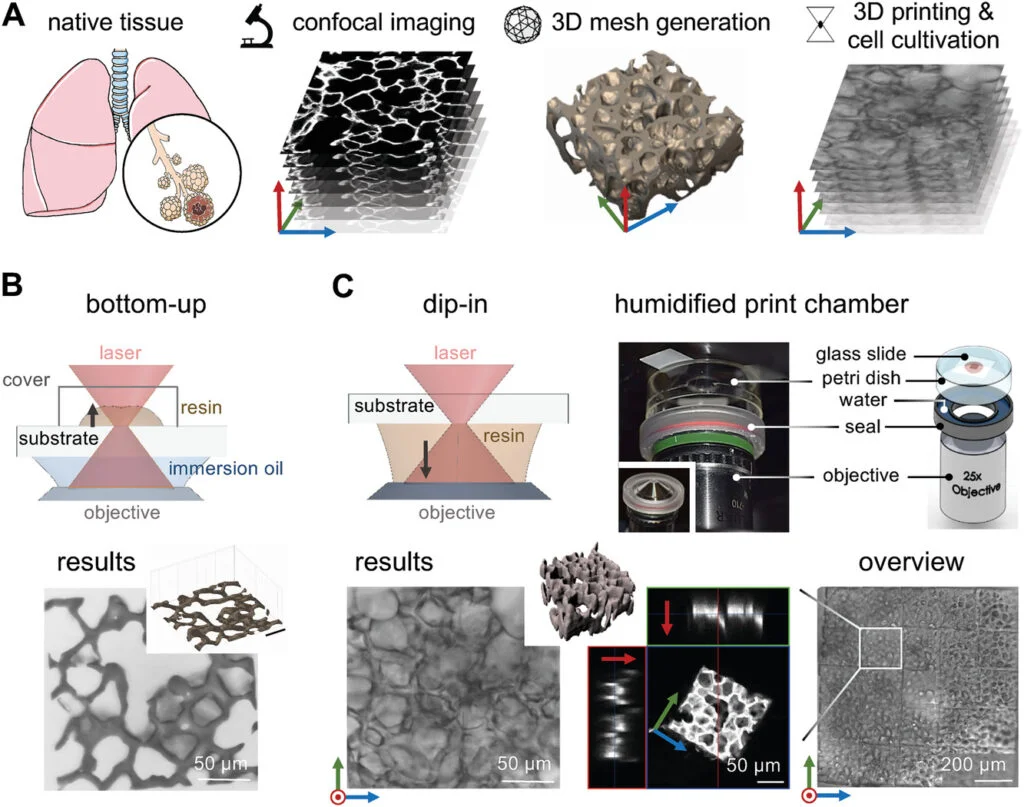 絕佳的創新研發場域 - 在太空 3D 列印人體器官,開啟太空醫學新篇章 4 Precision 3D-Printed Cell Scaffolds Mimicking Native Tissue Composition and Mechanics
https://doi.org/10.1002/adhm.202000918
