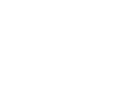 nsl_logo